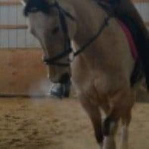 Meet your Posher, Deb